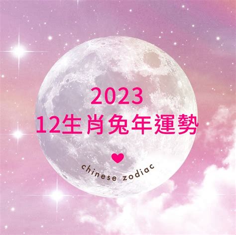 2023麥玲玲|【麥玲玲2023十二生肖整體運勢】2023兔年運勢＋十。